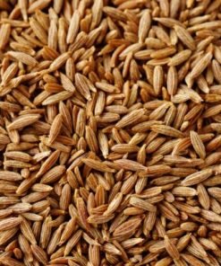 European Quality Cumin Seeds