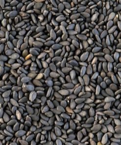 Black Sesame Seeds