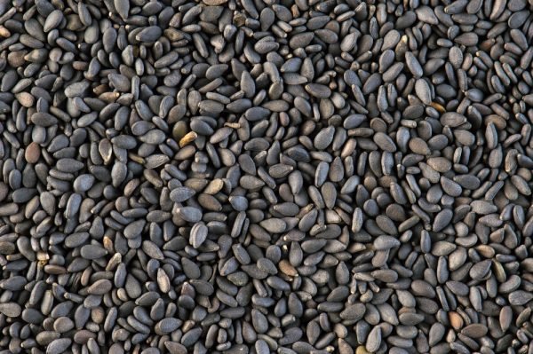 Black-Sesame-Seeds-600x399