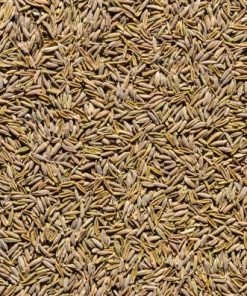 Gulf Quality Cumin Seeds