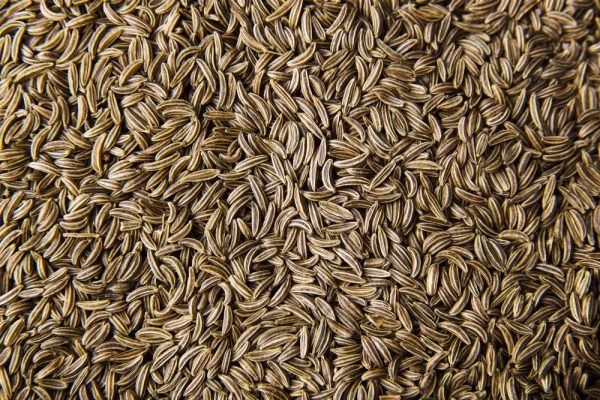 Singapore-Quality-Cumin-Seeds-600x400