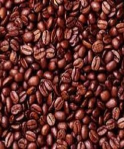 Good quality Dried Grade A Cocoa/ Cacao/ Chocolate bean